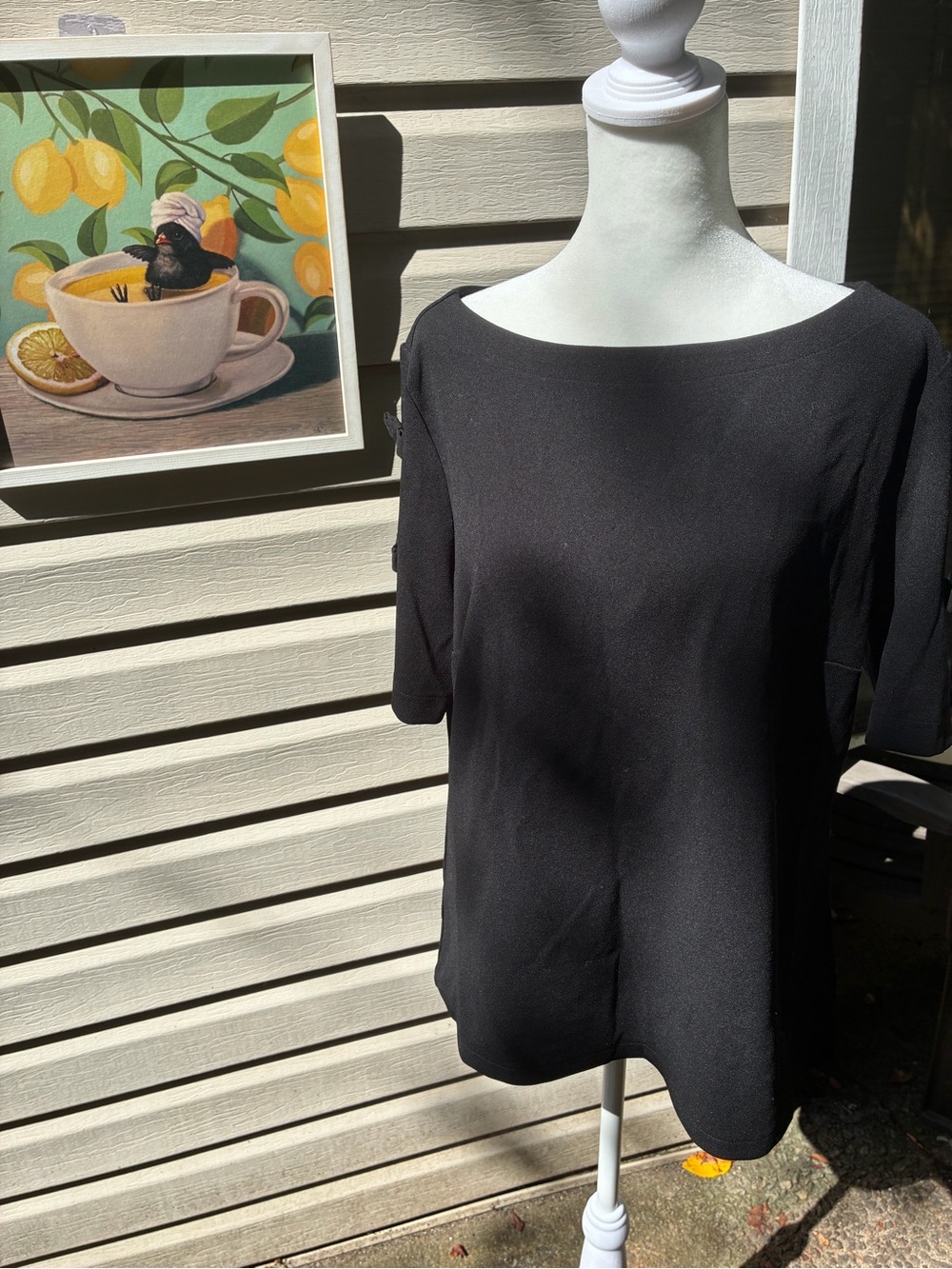 Ann Taylor Black Boatneck Short Sleeve Top